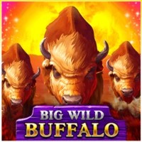 game logo by Belatra Games on spinnyscasino.com